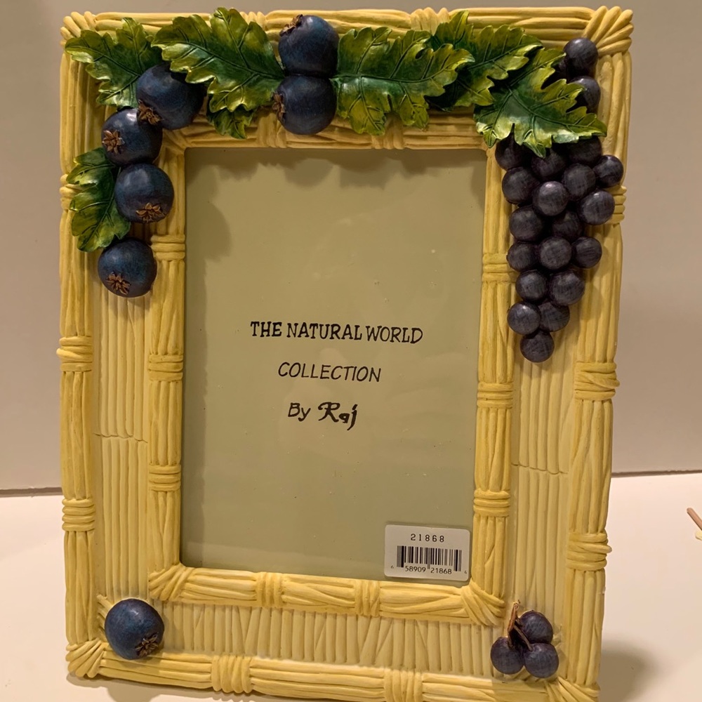 NWT RAJ GRAPE PICTURE FRAME.